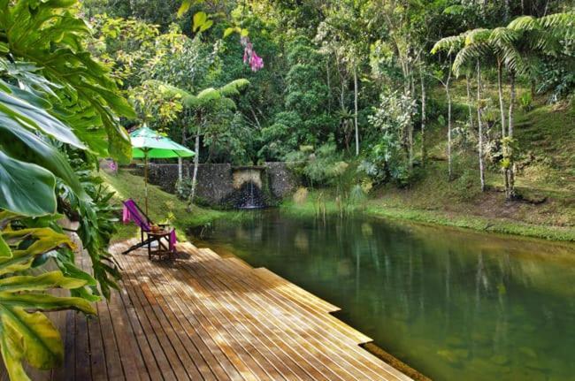 Chales No Da Madeira Visconde De Maua Dış mekan fotoğraf